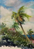 Approaching Windstorm, St. Georges, Bermuda by Wallace F. Marosek